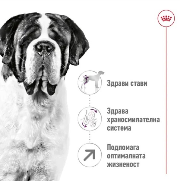 Royal Canin Adult Dog Giant 15kg - Пълноценна суха храна за кучета от гигантски породи 15 кг